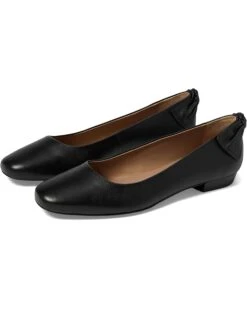 Bernardo Eloisa | Heels