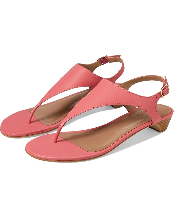 Bernardo Goldy | Heels 8 Bernardo Goldy | Heels - Image 6