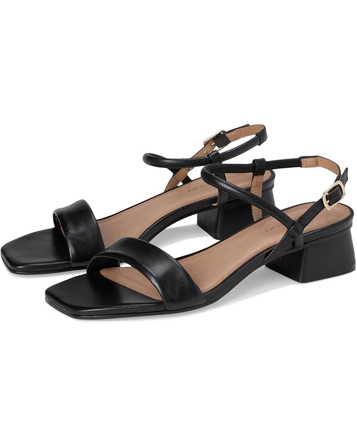 Bernardo Josei | Heels 3 Bernardo Josei | Heels