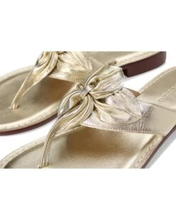 Bernardo Taormina | Heels -Bernardo Store 81REIzPxorL. AC SR736920